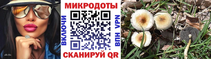 Купить закладки  Мончегорск  Псилоцибиновые грибы ЛСД 